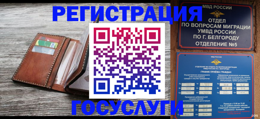 временная регистрация гарантия в Алтайском крае